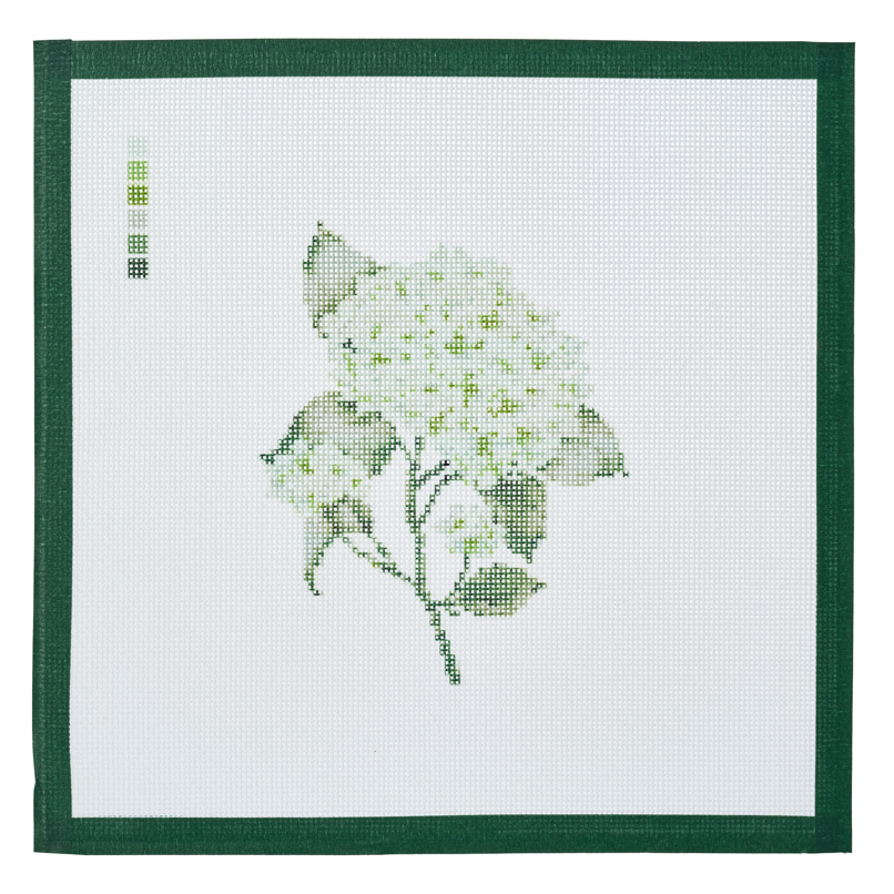 A needlepoint canvas printed with a green hydrangea in bloom, on white mesh with a dark green taped edge.